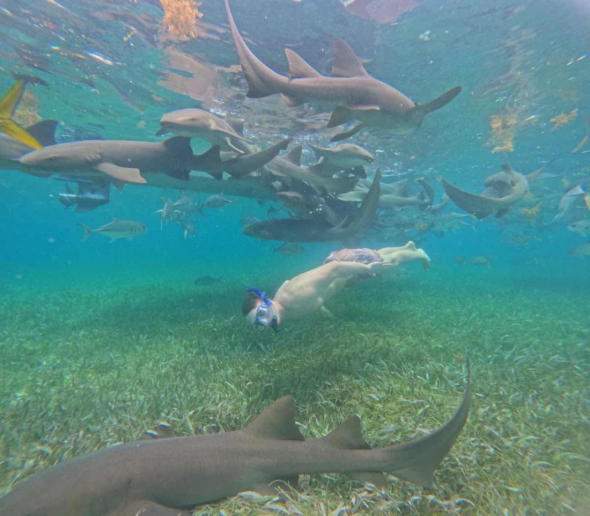 Oceanic Expeditions Belize photo 6