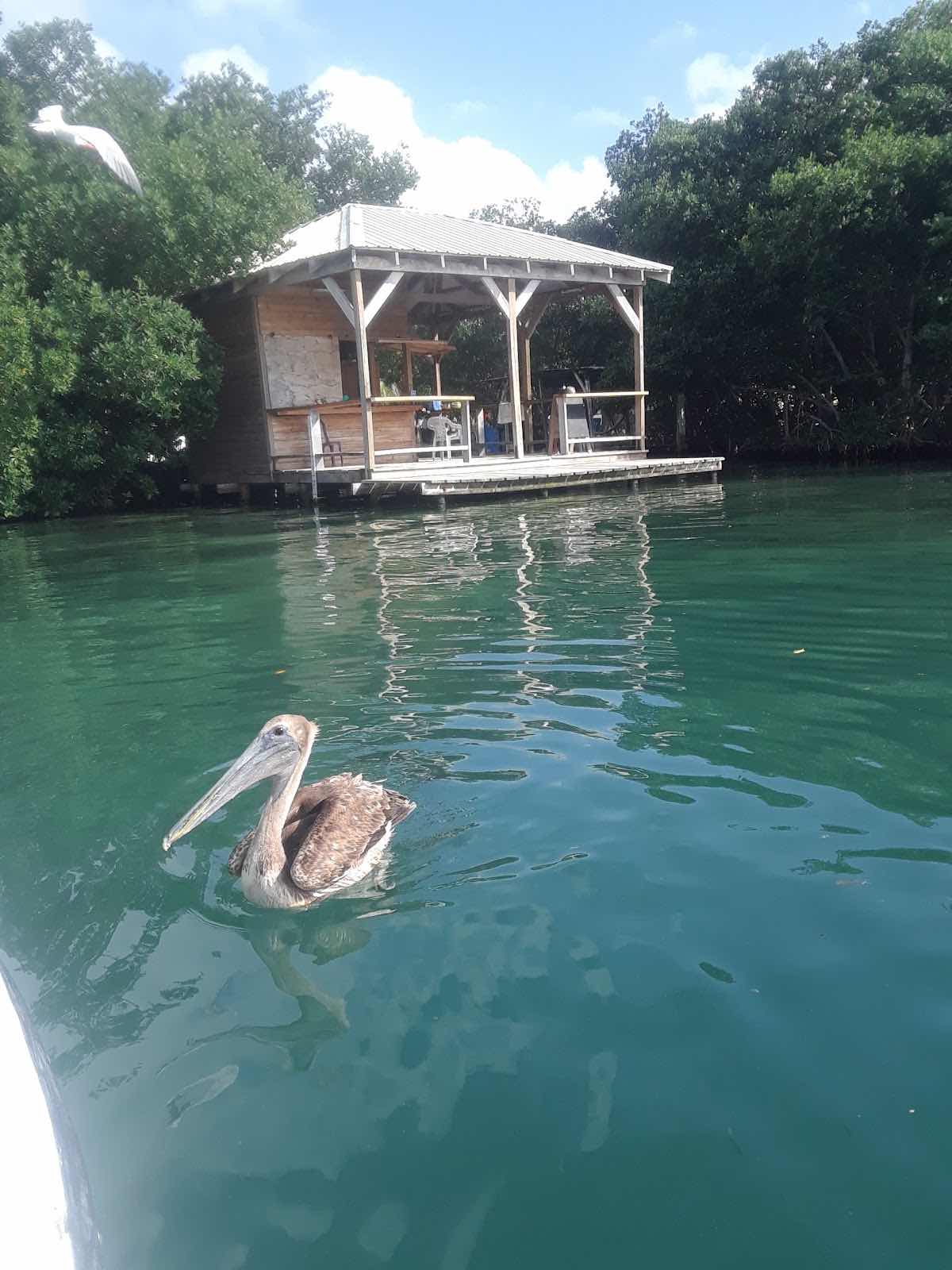 Oceanic Expeditions Belize photo 7