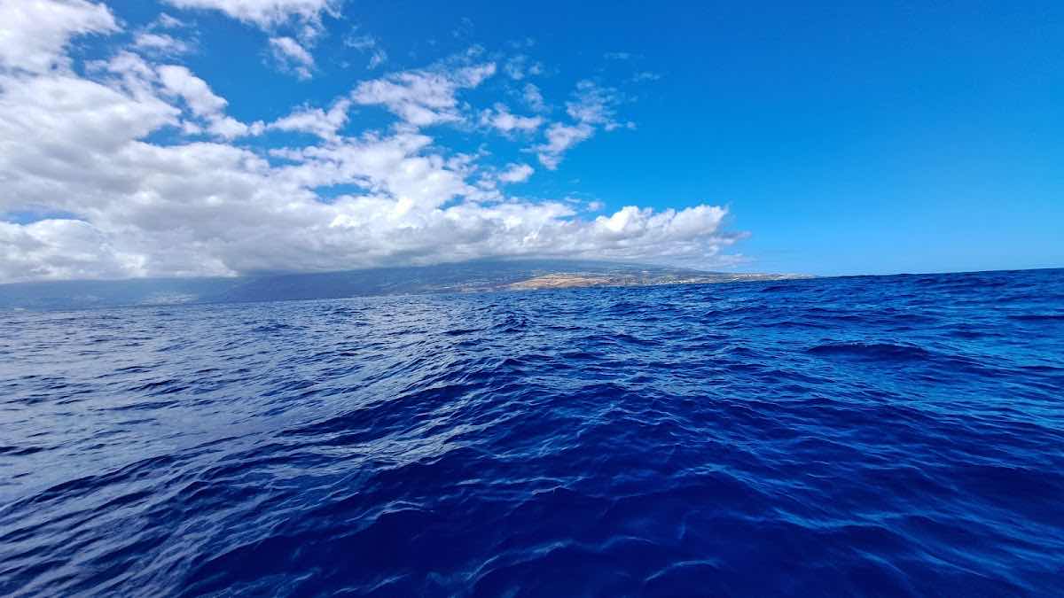 Réunion Formation Plongée photo 9