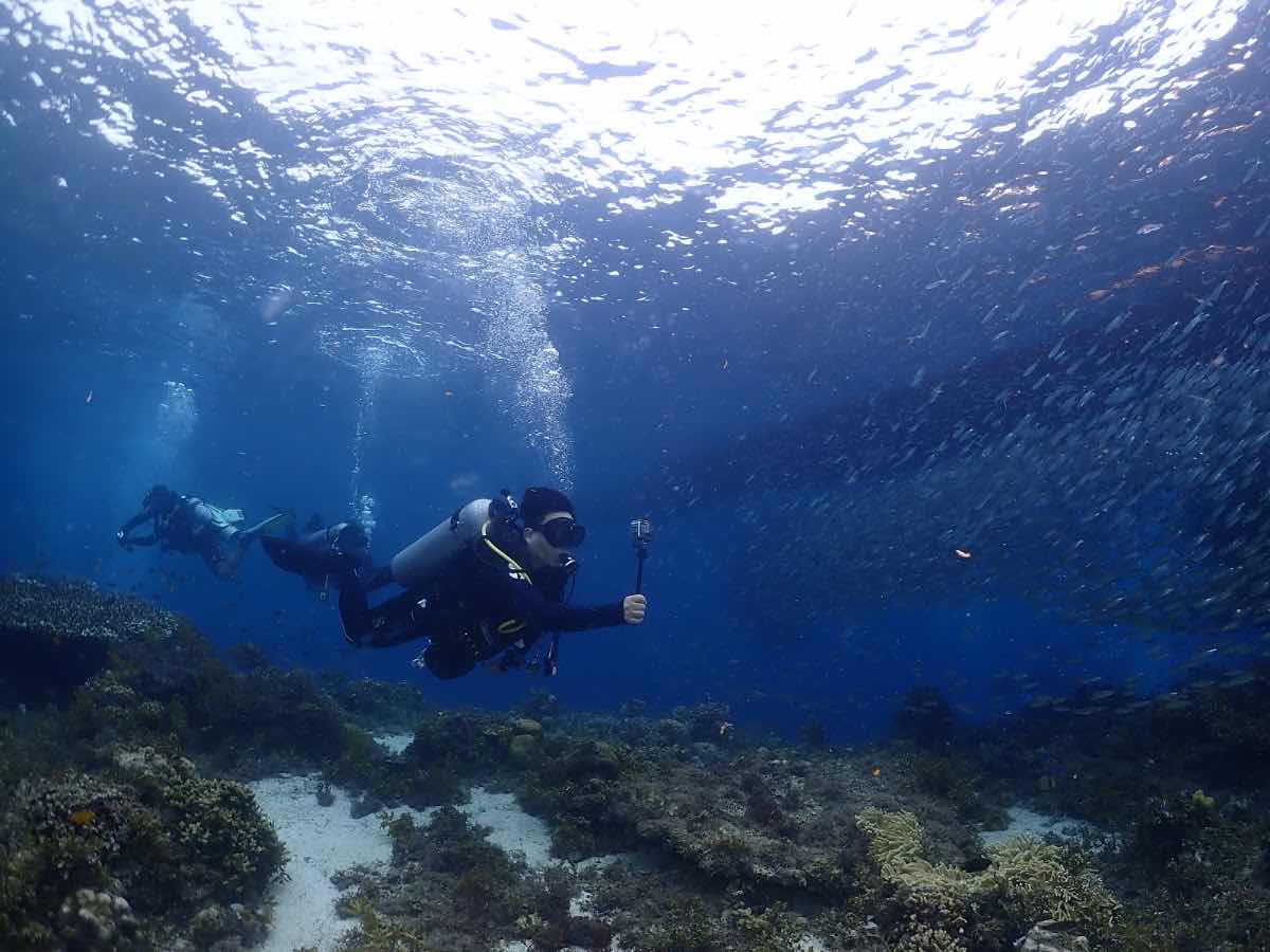 런디다이브 (Run.D Dive Resort) photo 3