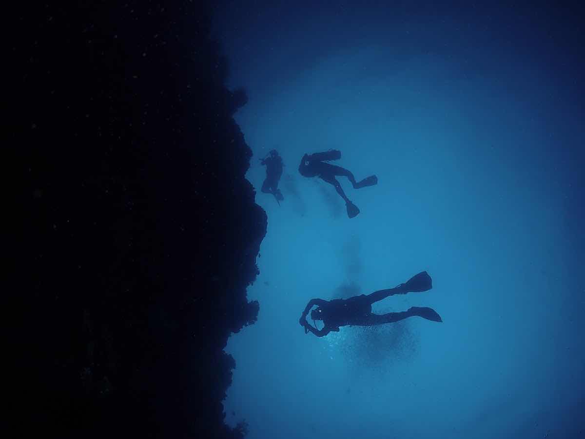 런디다이브 (Run.D Dive Resort) photo 6