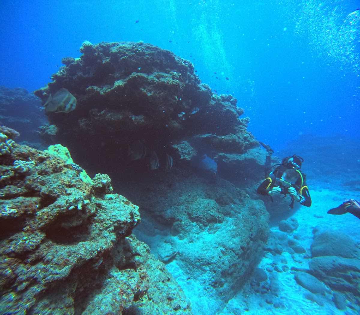 Zourite Plongée Saint-Gilles-Les-Bains île de La Réunion photo 1
