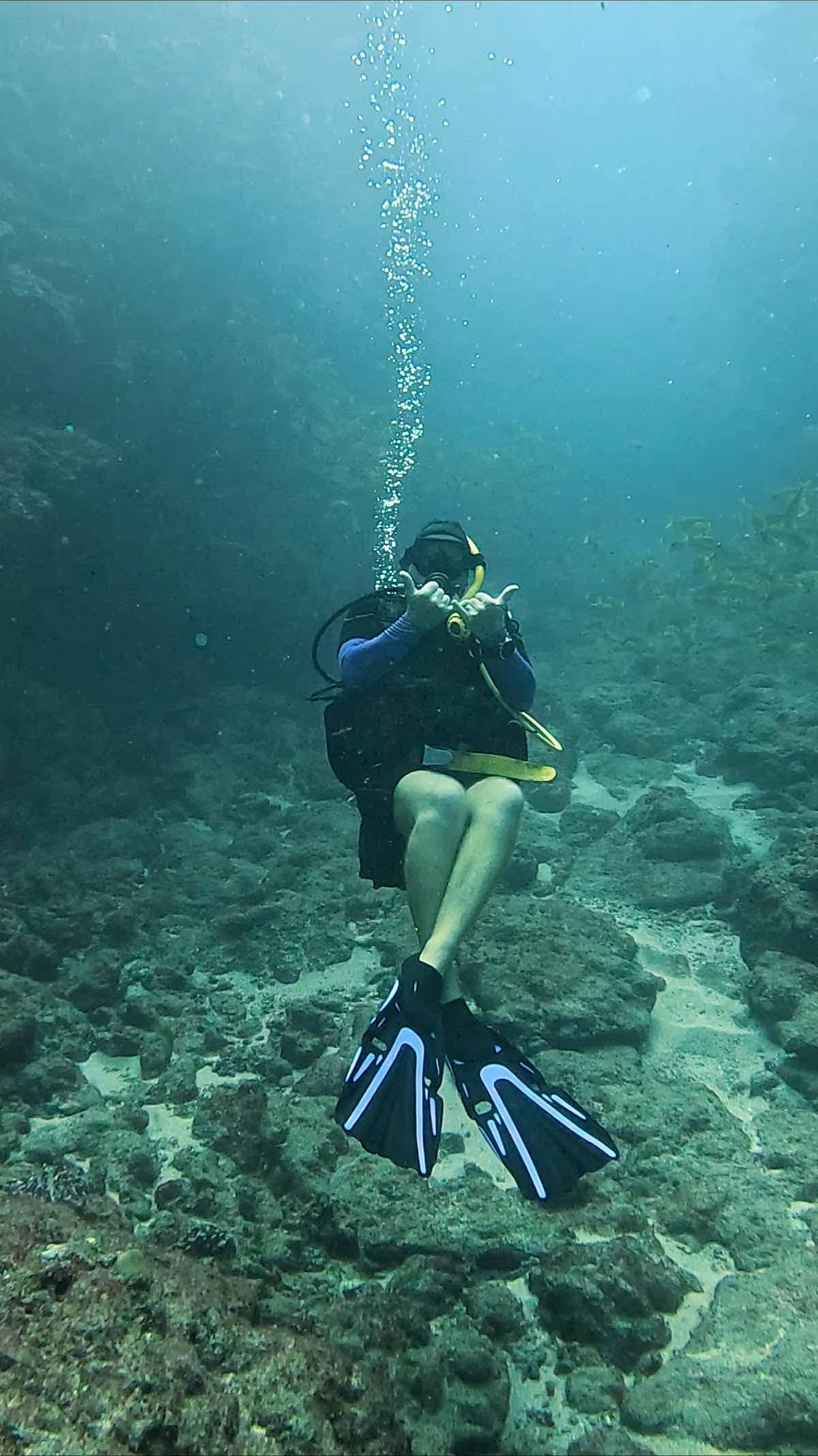 Zourite Plongée Saint-Gilles-Les-Bains île de La Réunion photo 7