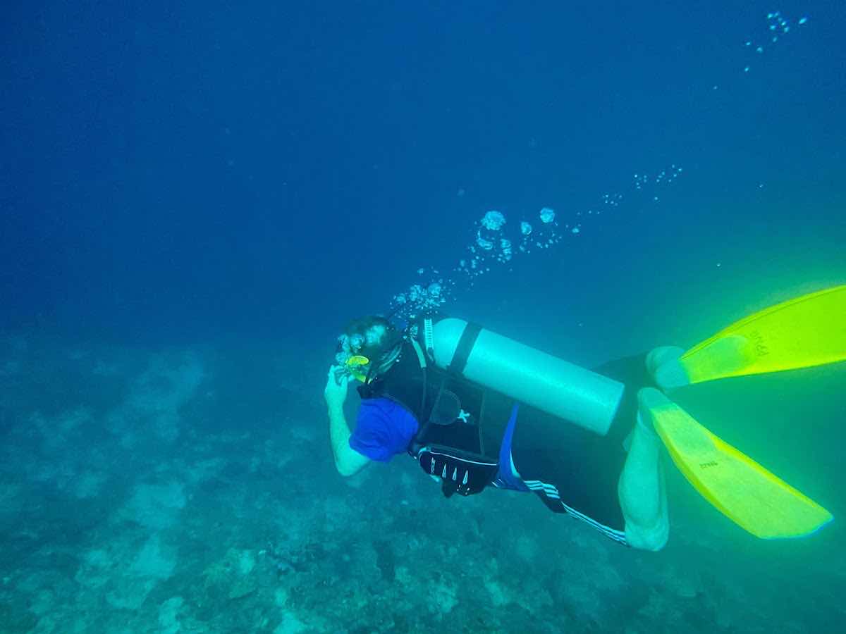 PRO Dive PNG photo 1