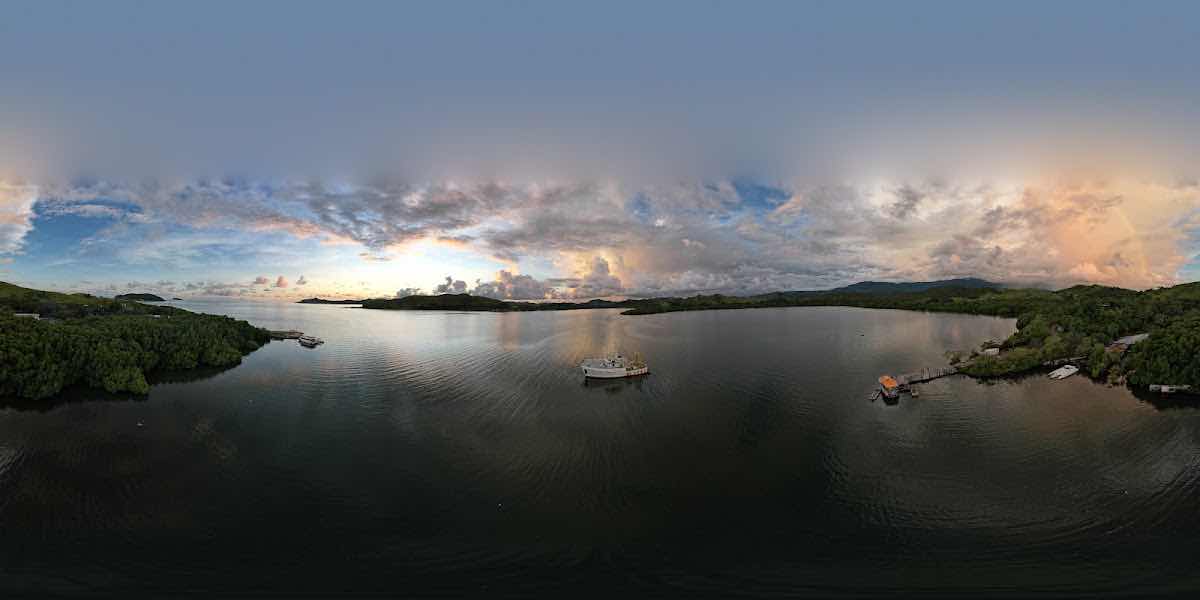 PRO Dive PNG photo 4