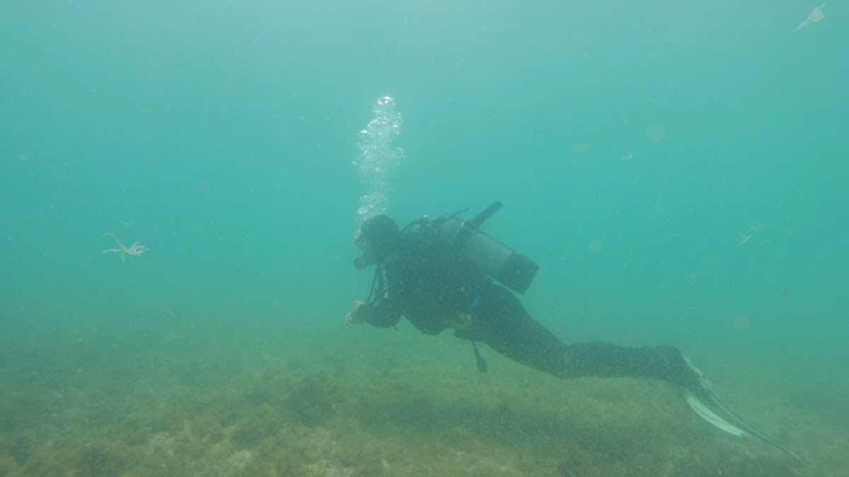 Blue Ocean Divers praia da Luz photo 3