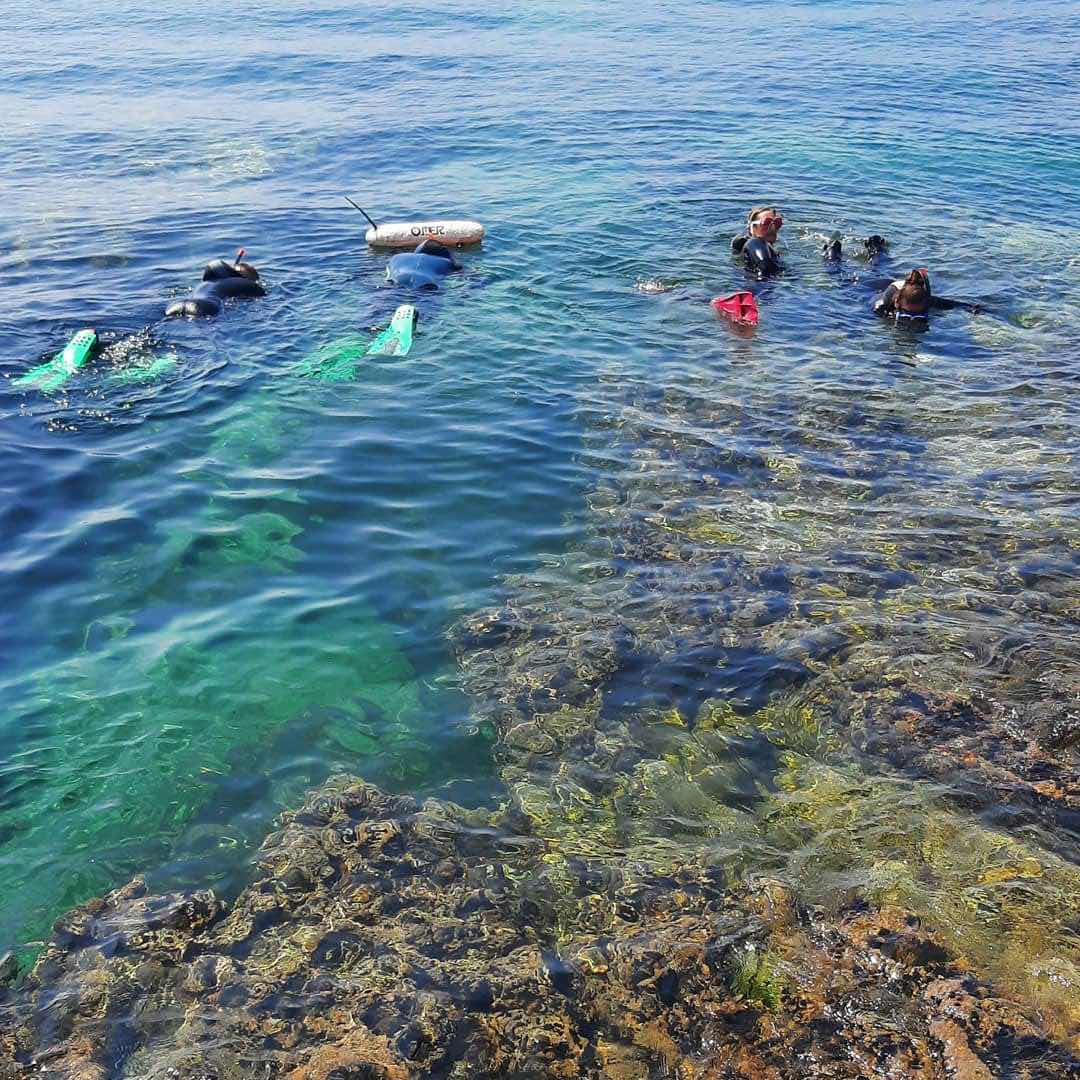 Blue Ocean Divers praia da Luz photo 6