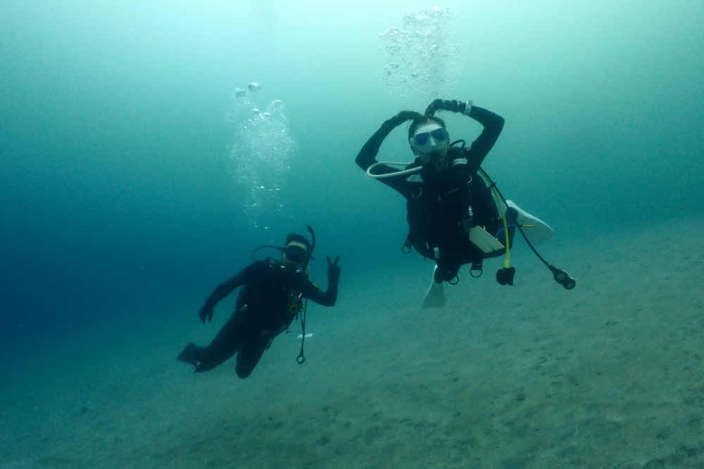 Dive Healing photo 2