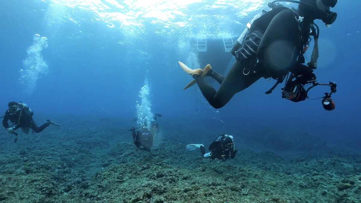 Dive Healing photo 3