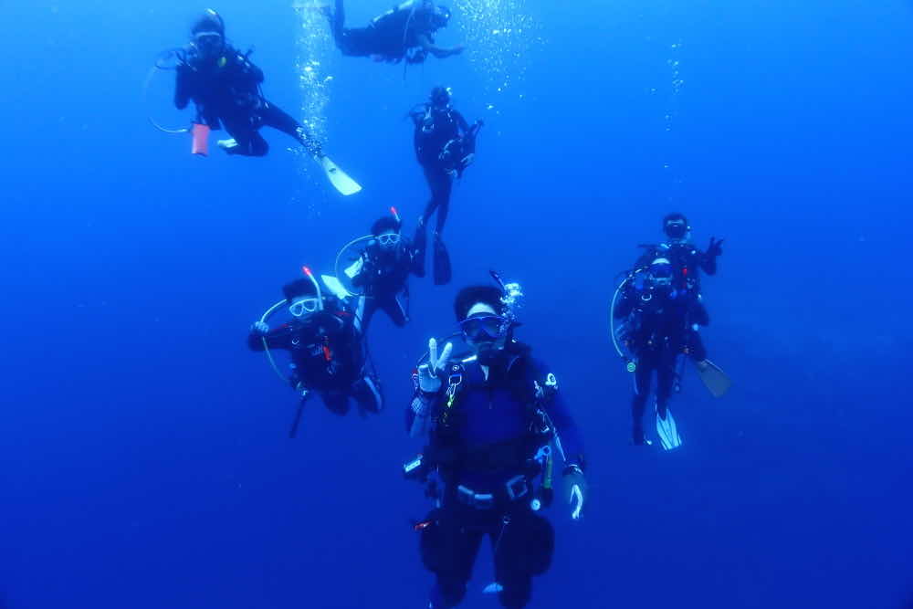Dive Healing photo 5