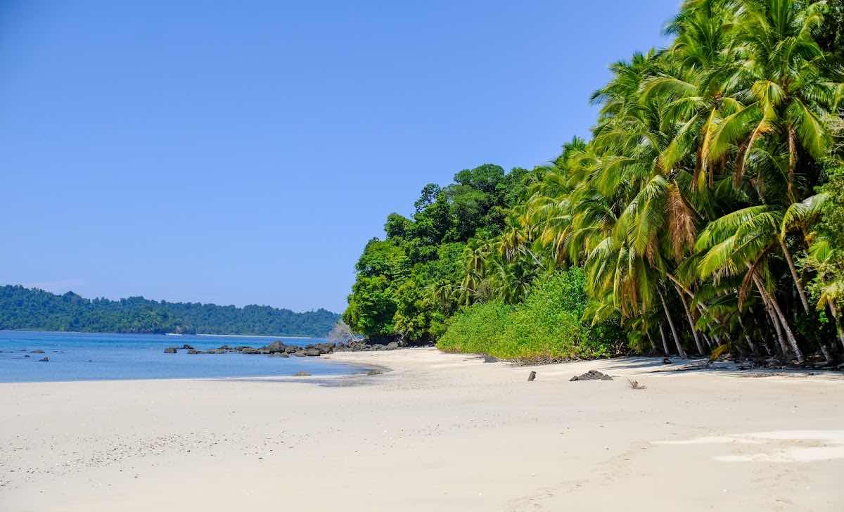 Diving Coiba photo 8