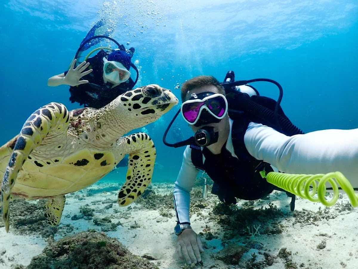 Diving Center in Phuket Дайвинг центр на Пхукете «Crazy Frog Diving» photo 1