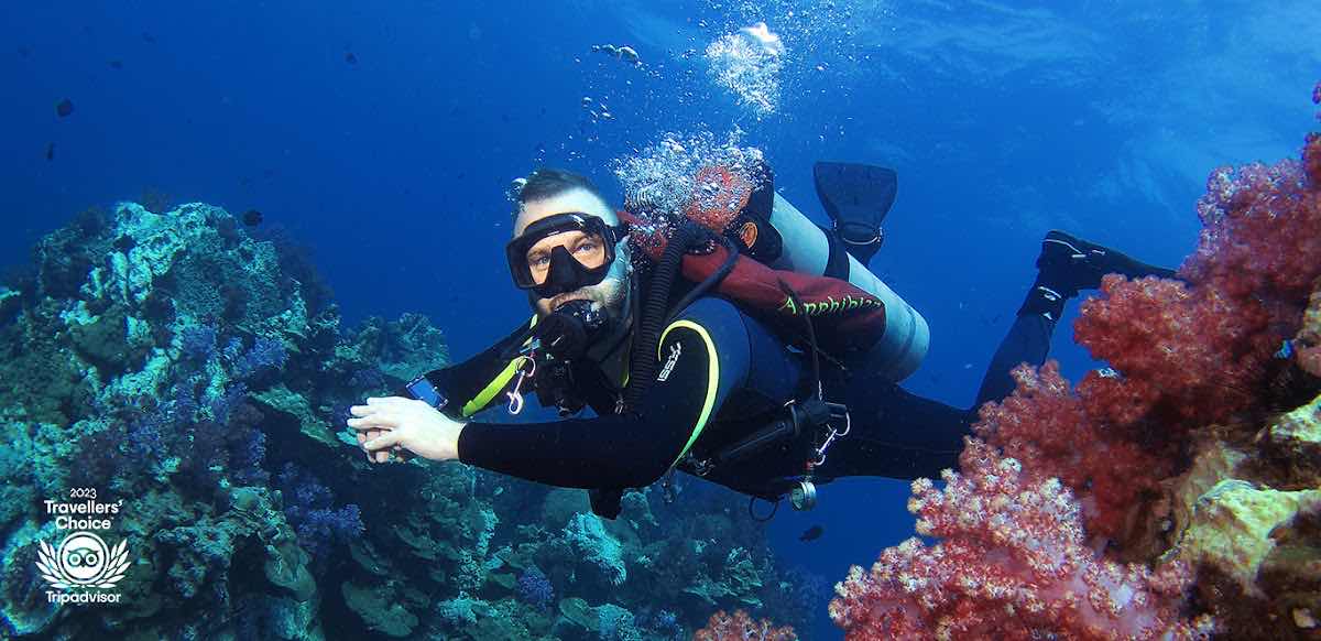Diving Center in Phuket Дайвинг центр на Пхукете «Crazy Frog Diving» photo 5