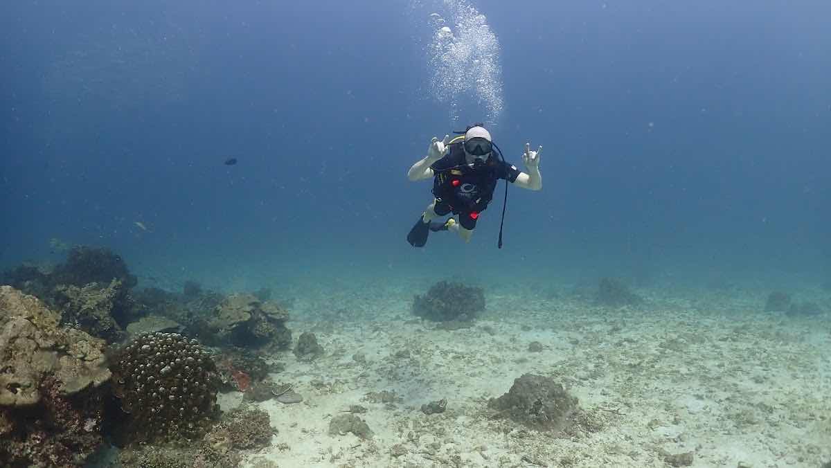Diving Center in Phuket Дайвинг центр на Пхукете «Crazy Frog Diving» photo 8
