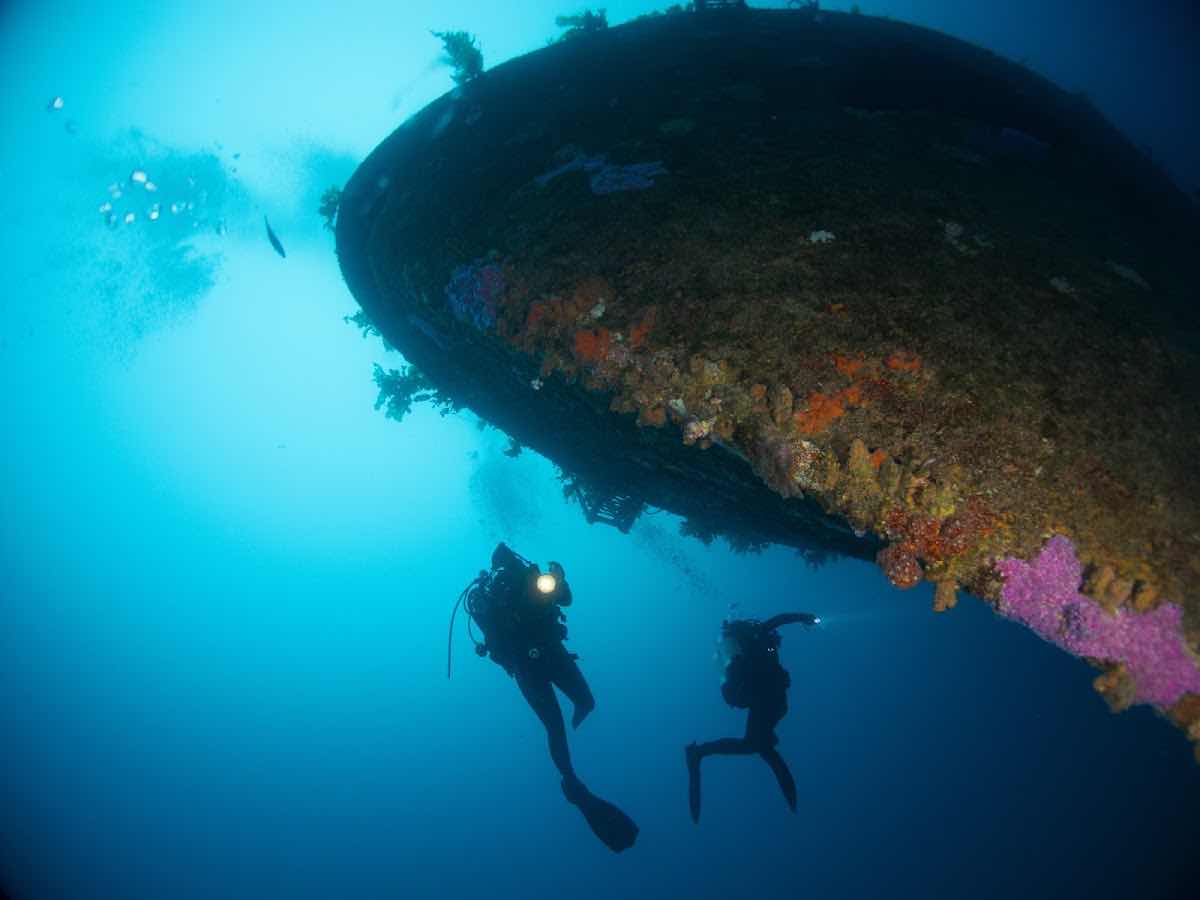 Northland Dive photo 2