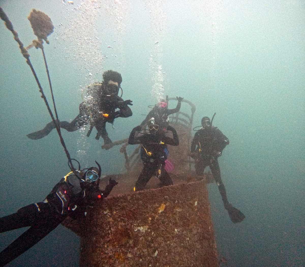 Northland Dive photo 9