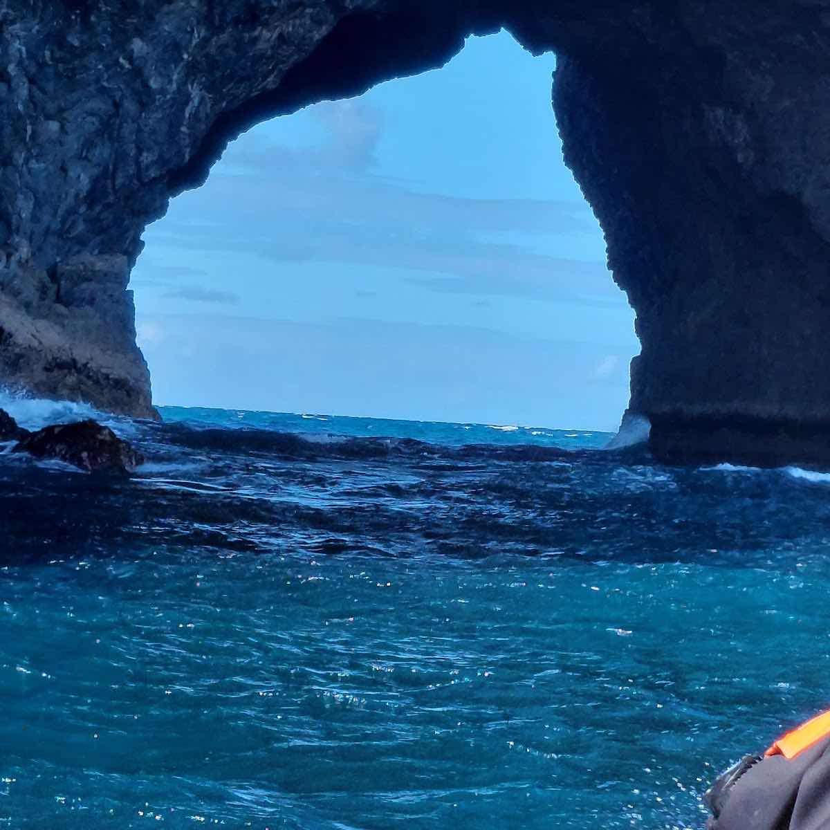 Northland Dive photo 10