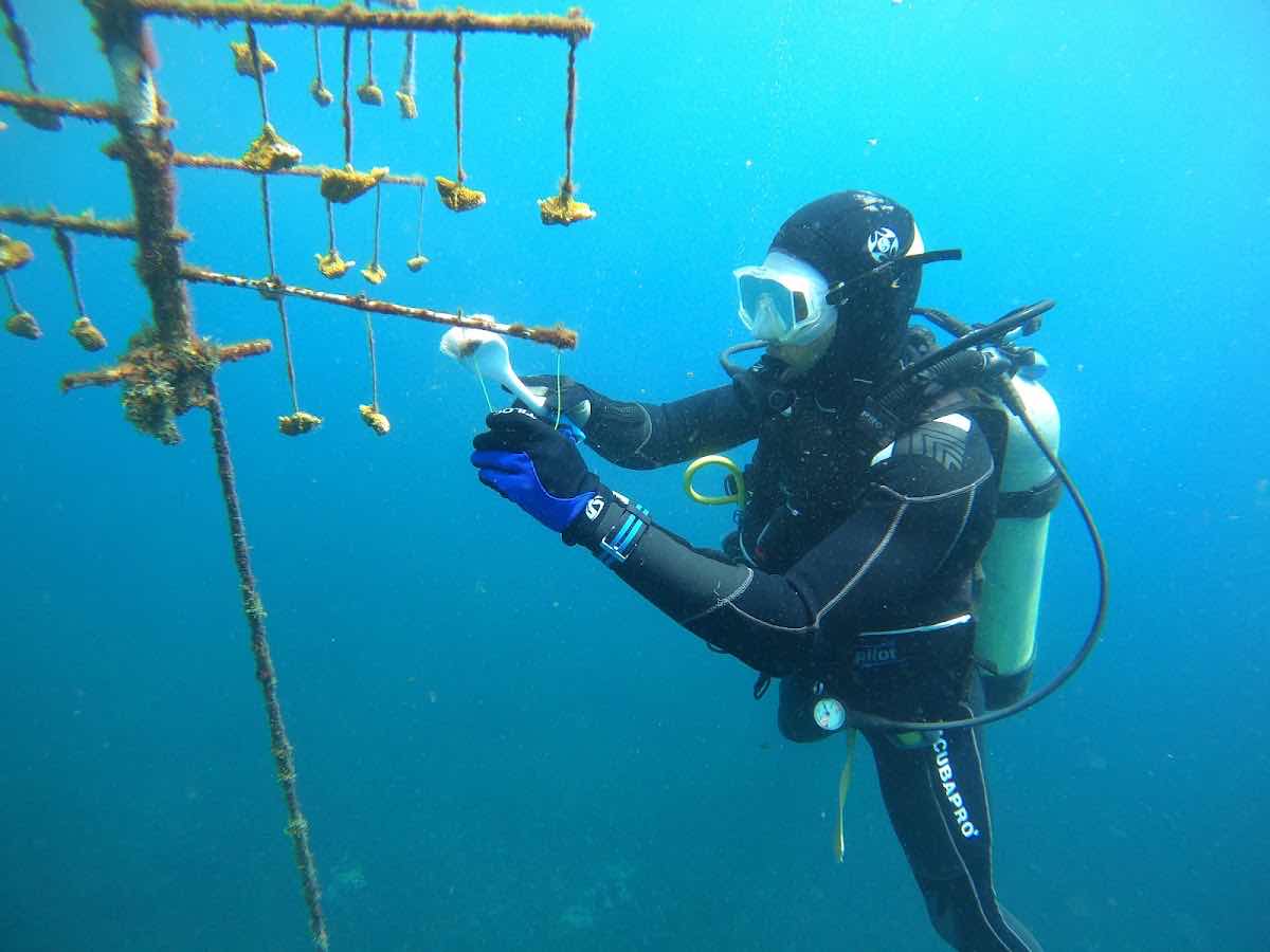 Serenity Dive Inc photo 4