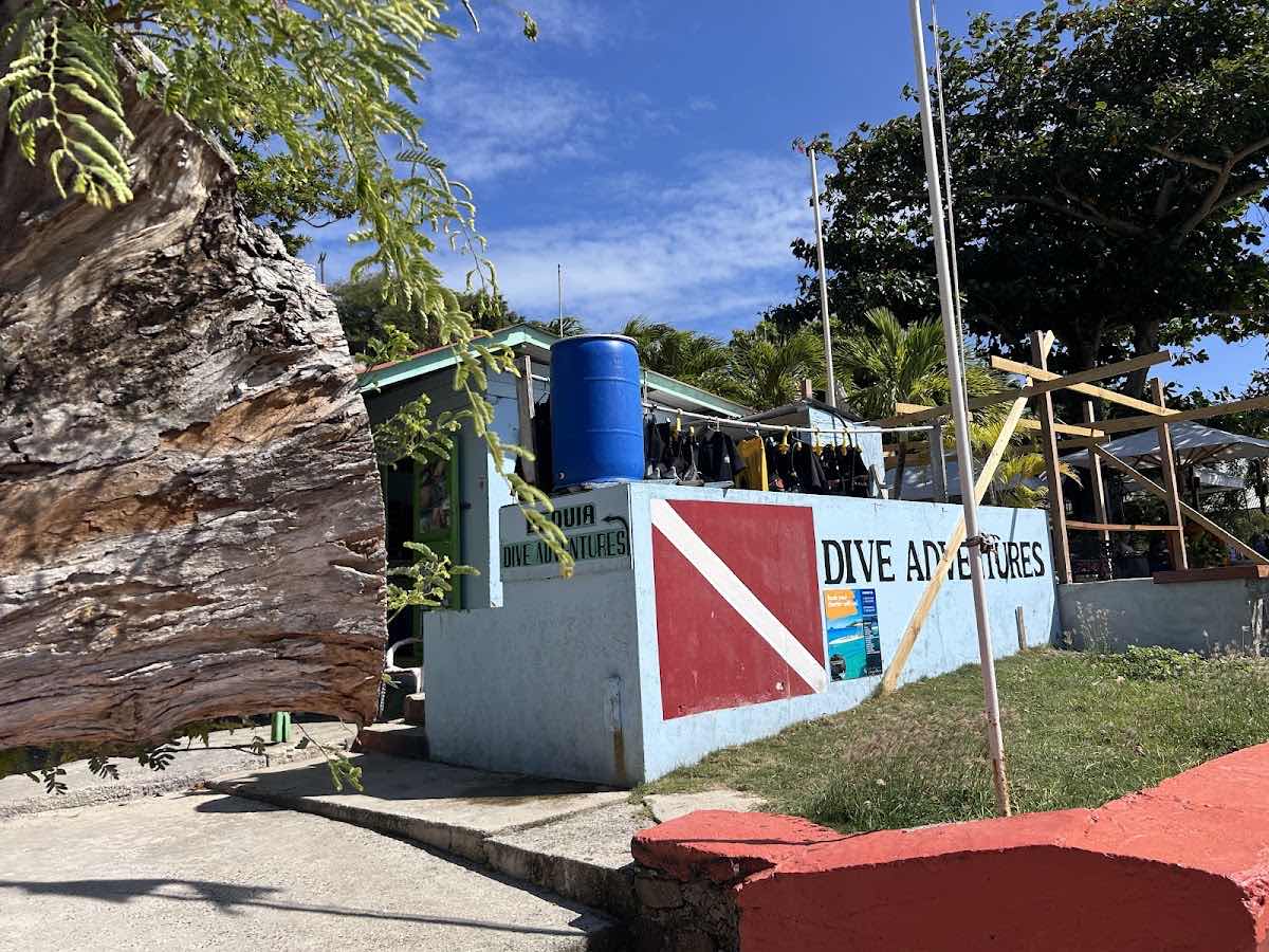 Serenity Dive Inc photo 6