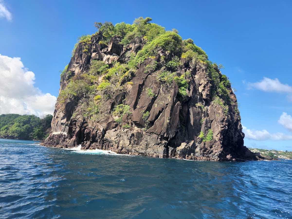 Serenity Dive Inc photo 10