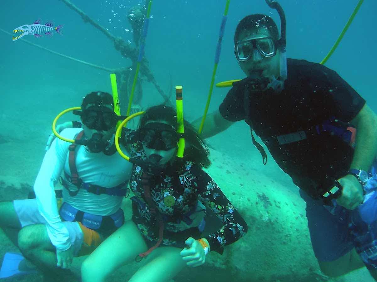 SNUBA SXM photo 2