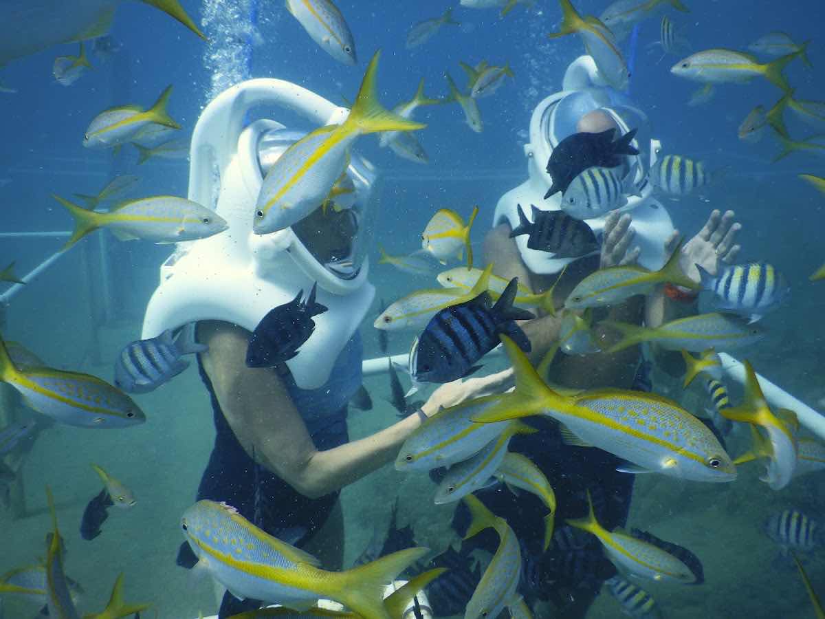 SNUBA SXM photo 3