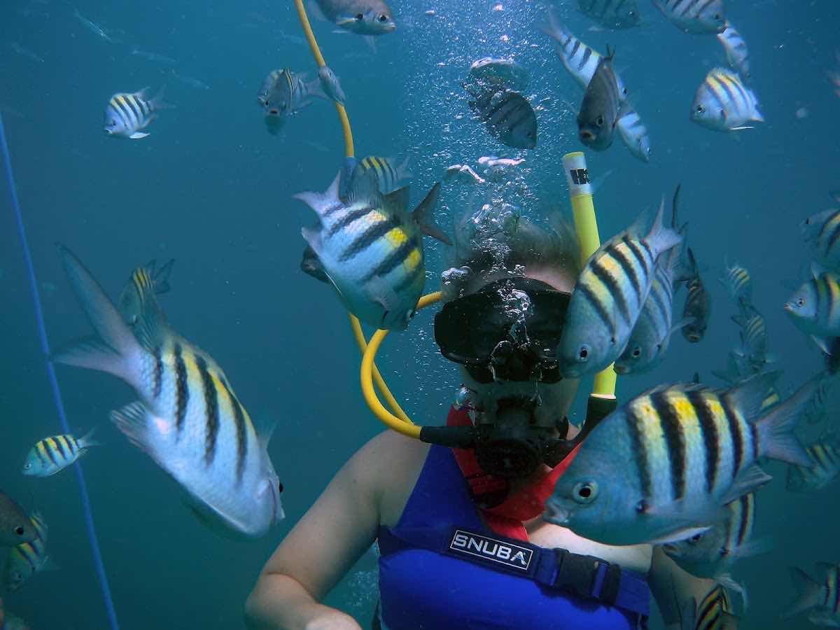 SNUBA SXM photo 8