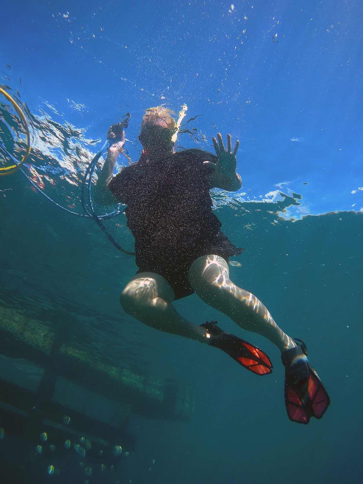 SNUBA SXM photo 10