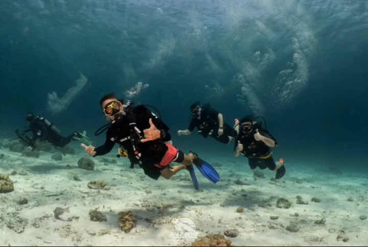 Go Dive Kantiang (Scuba Diving) photo 10