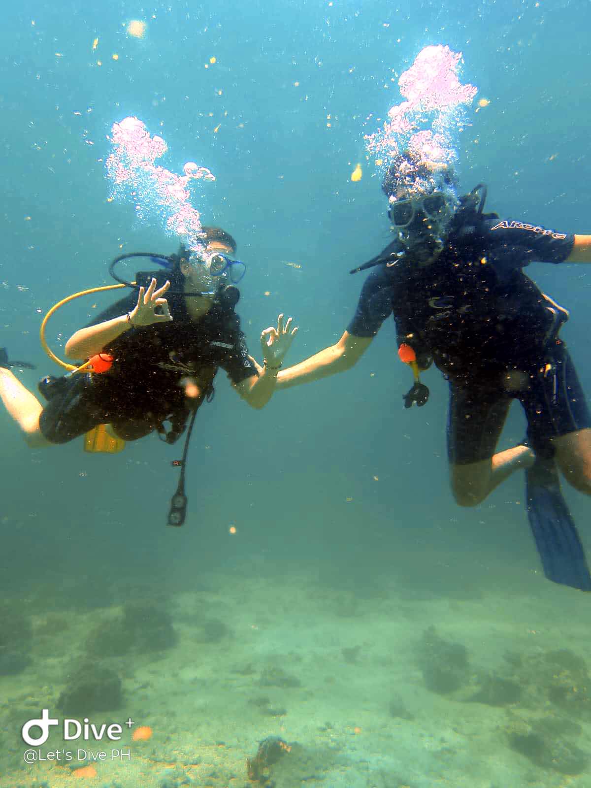 Let's Dive Palawan photo 1