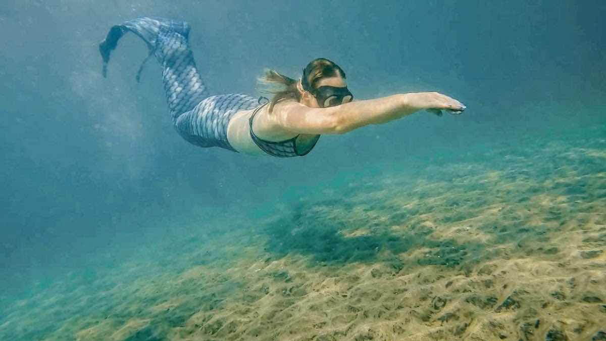 Paihia Dive photo 9