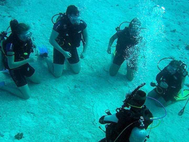 Red Sea Diving Academy photo 5