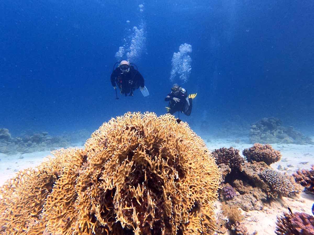 Red Sea Diving Academy photo 8