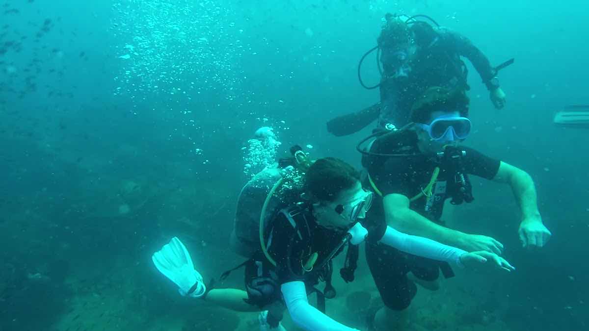 Thai Ocean Academy Koh Chang : Scuba Dive Koh Chang photo 3