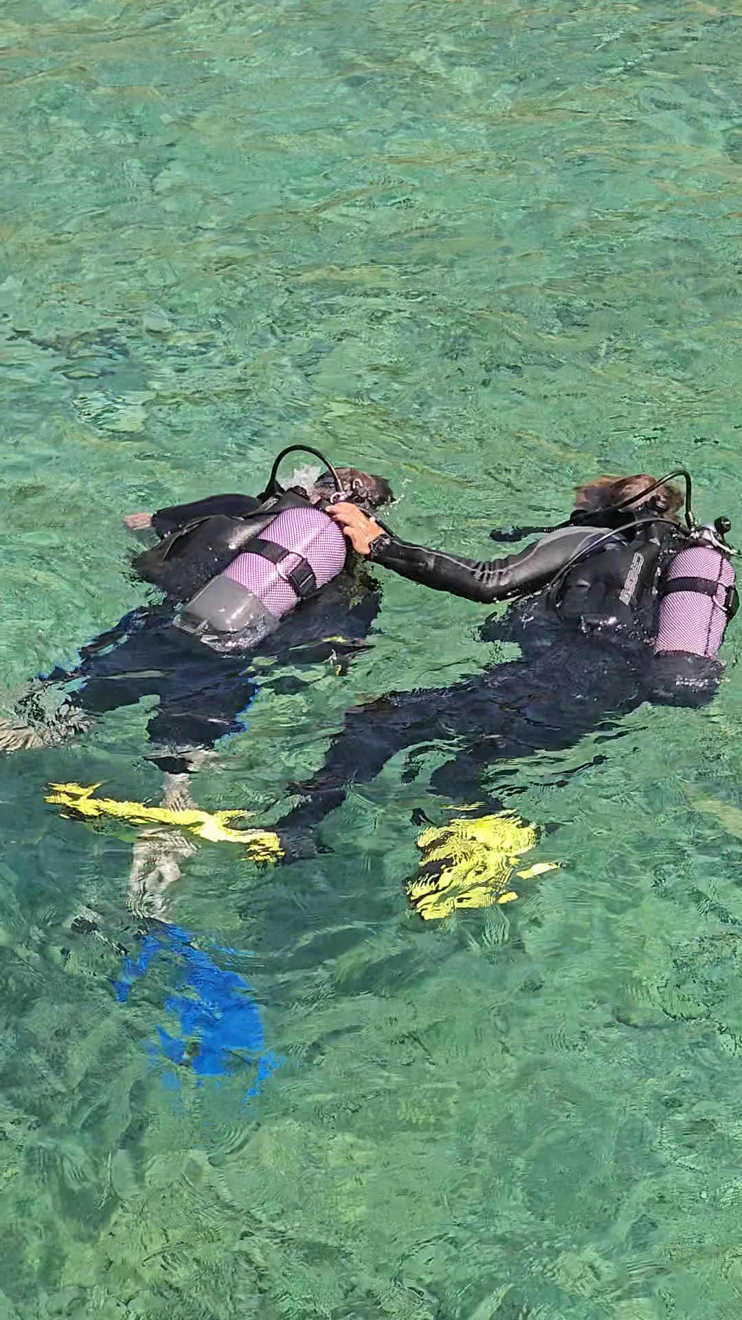 Aşkın Diving photo 9