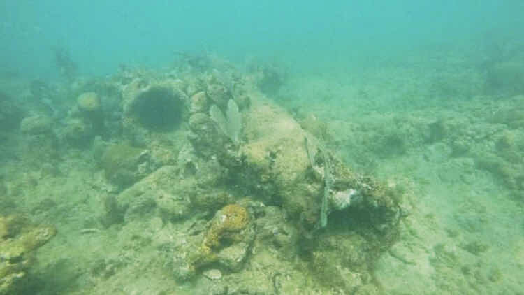 Lady G'Diver Diving Facility 5 Star photo 5