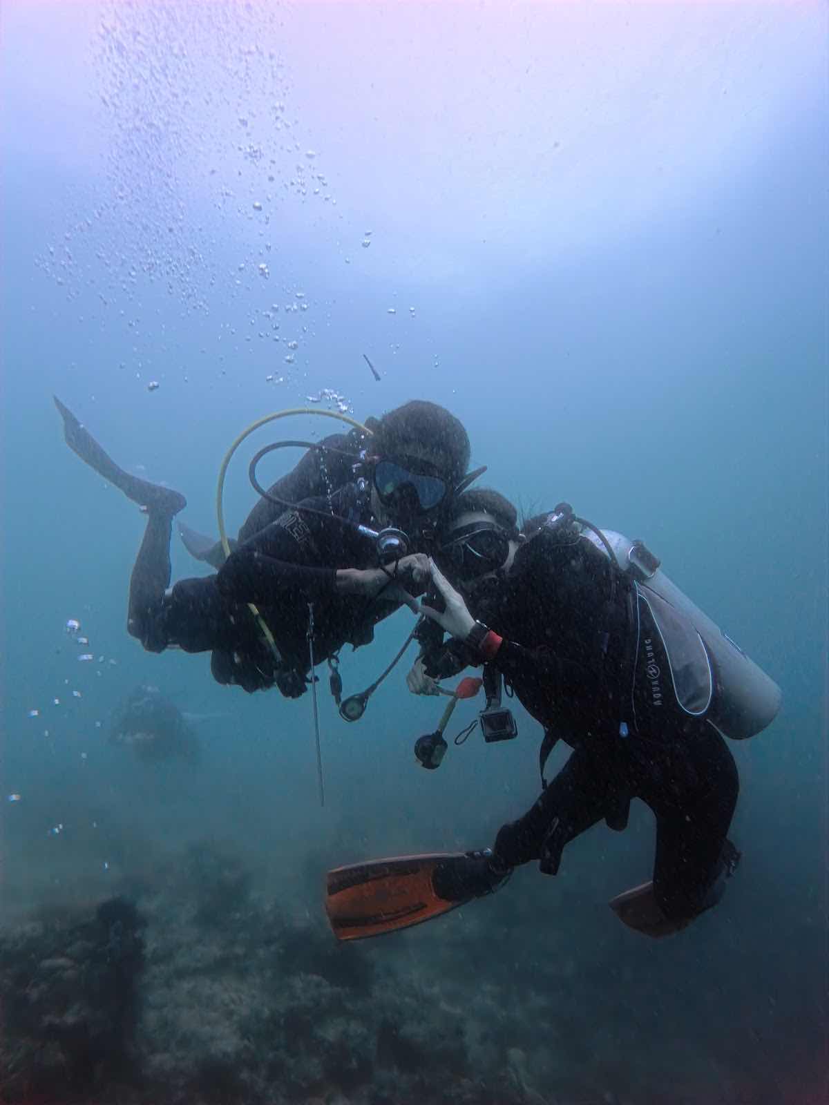 OCEANUS DIVE (오션어스 다이브) photo 6