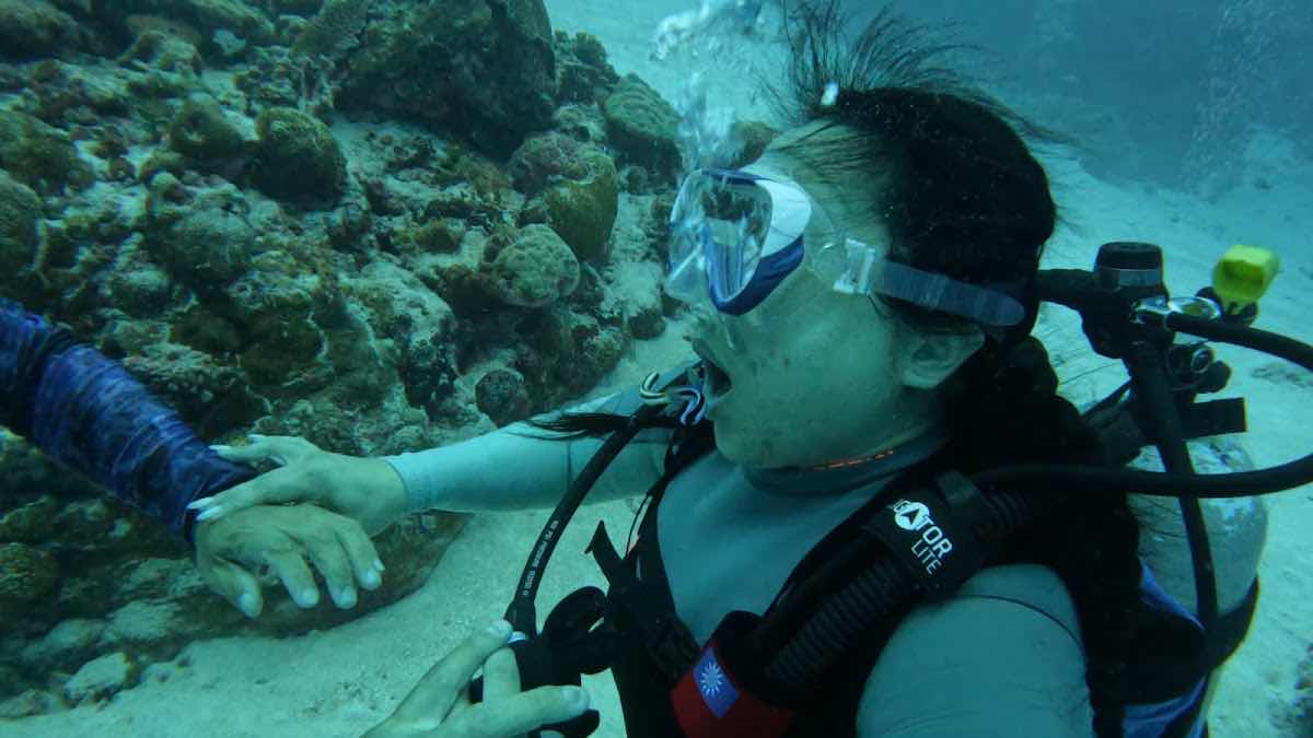 PALAU ESCAPE photo 4