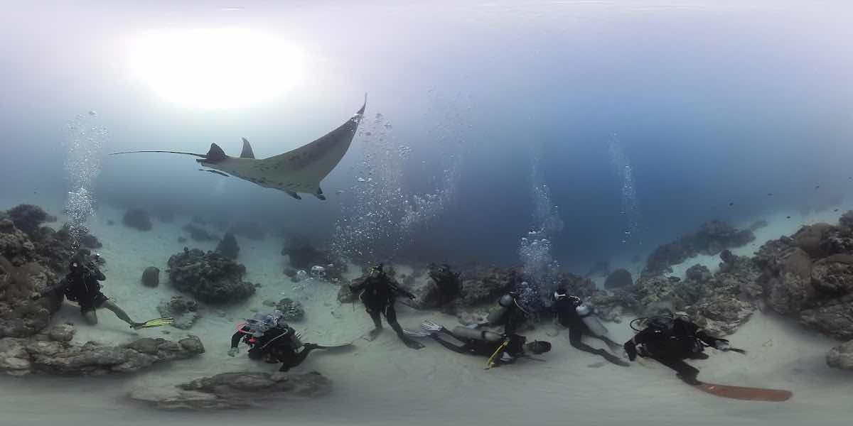 PALAU ESCAPE photo 6