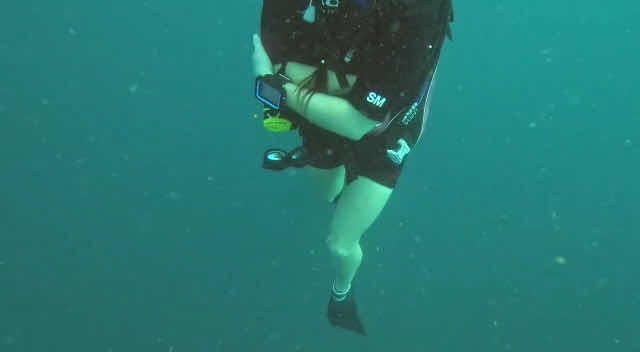 Leisure Boutique Divers photo 2