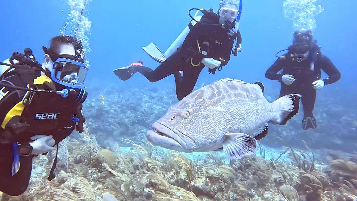 Hazel Adventures Belize photo 9
