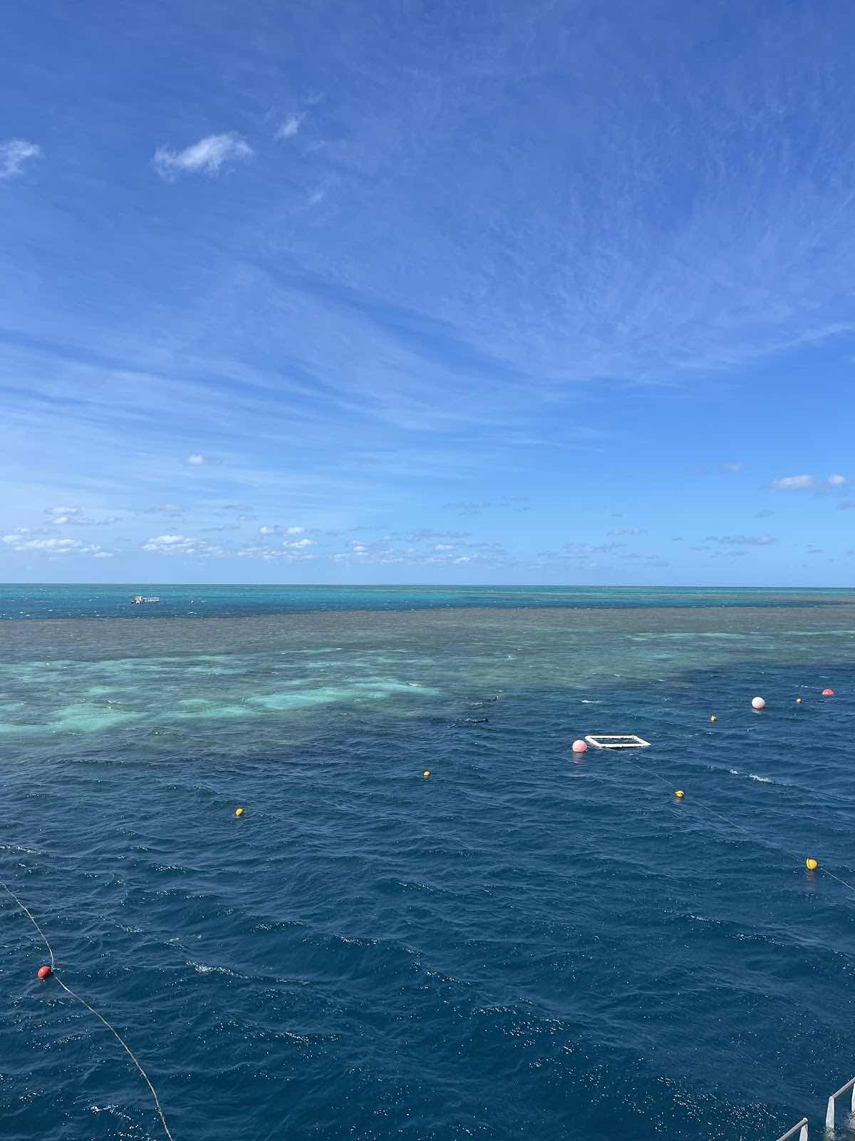 Reef Safari Diving photo 9
