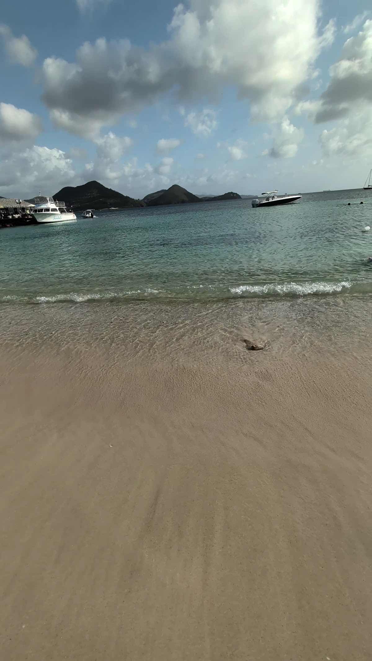 Sealife Paradise photo 3