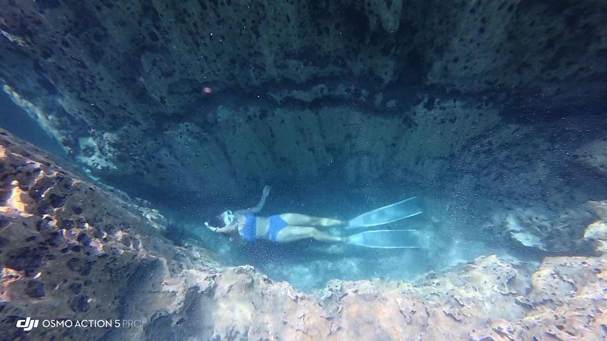 All In Freediving and Tour Services photo 3