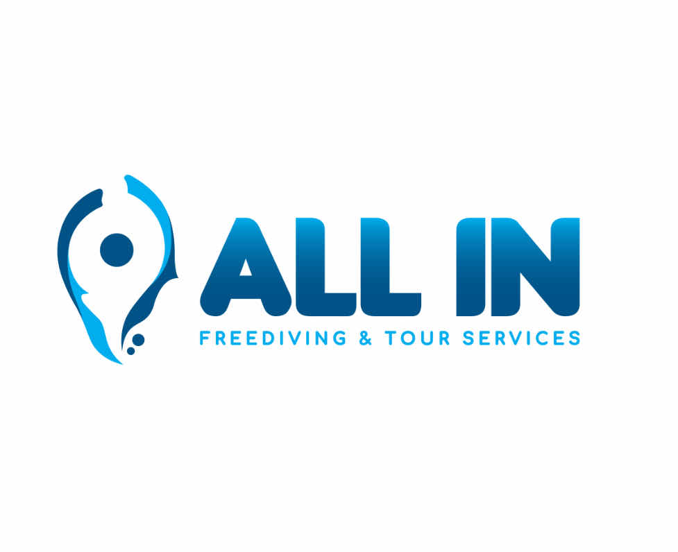 All In Freediving and Tour Services photo 4