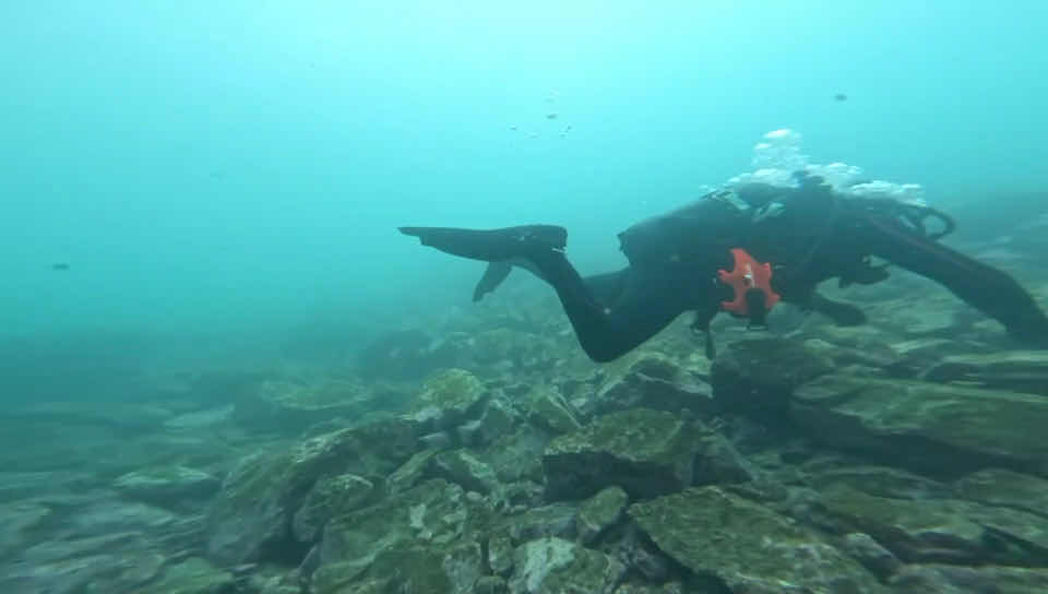 Abyss Scuba Diving photo 3