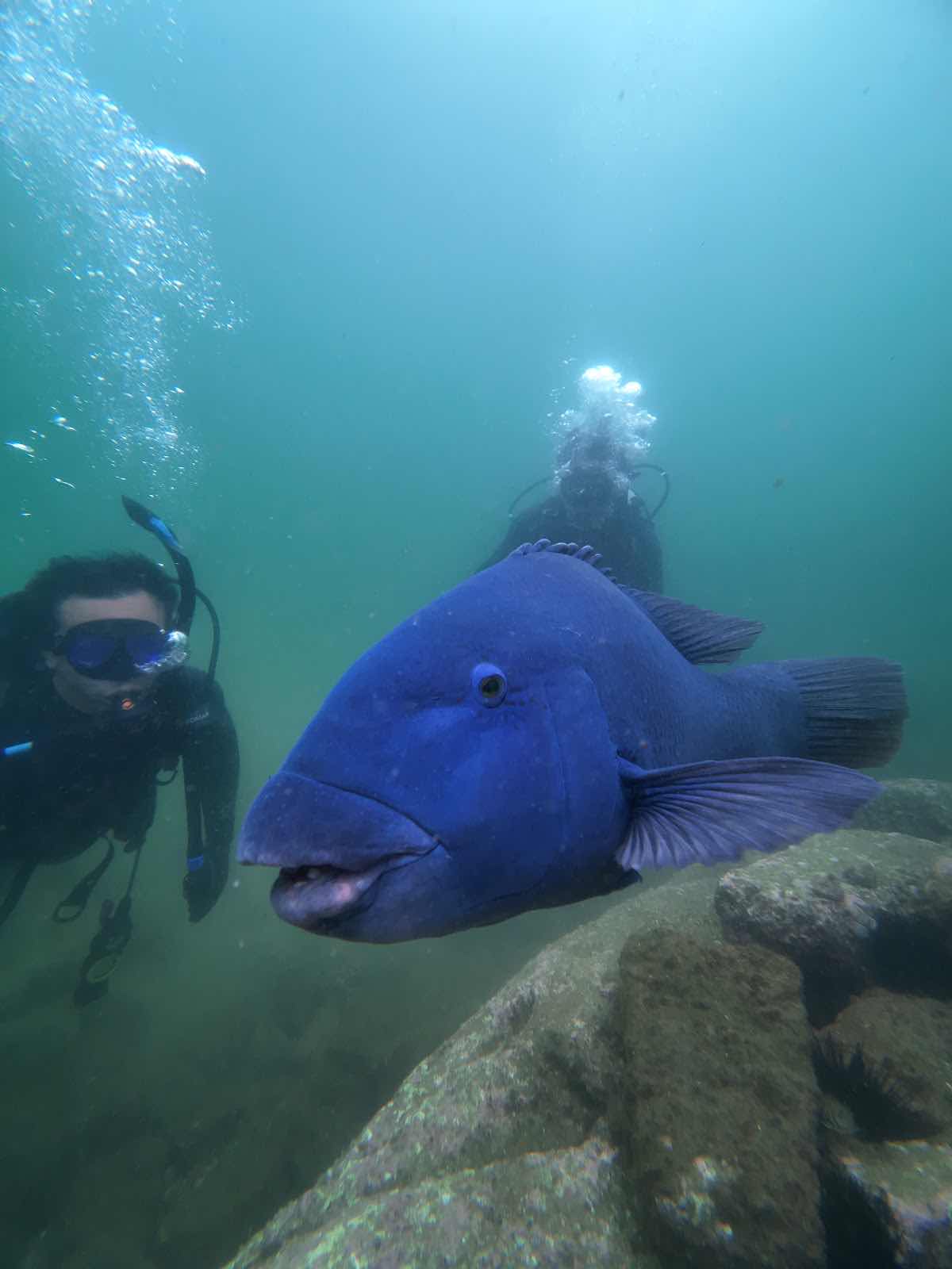 Abyss Scuba Diving photo 5