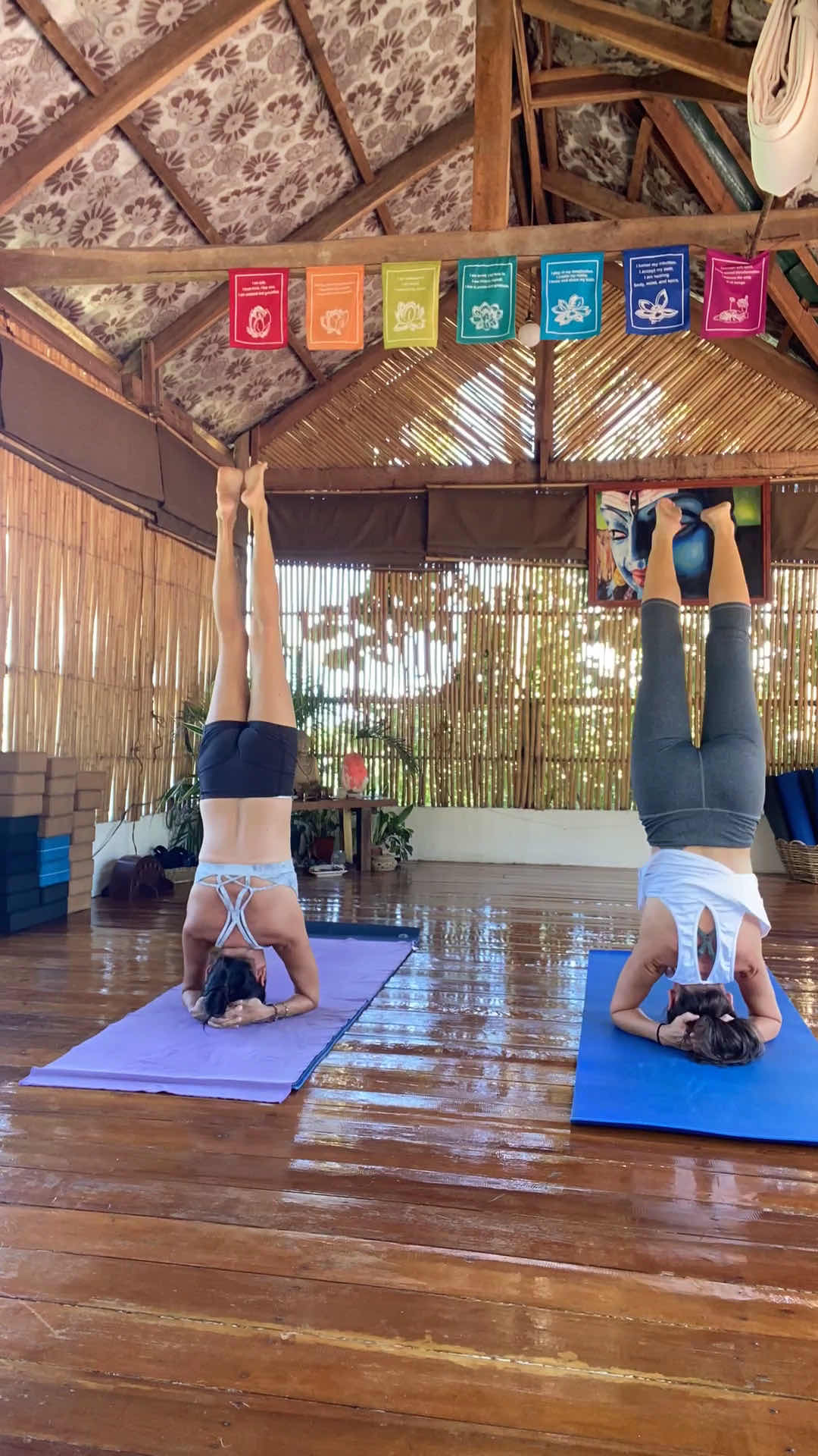 Namaste El Nido photo 3