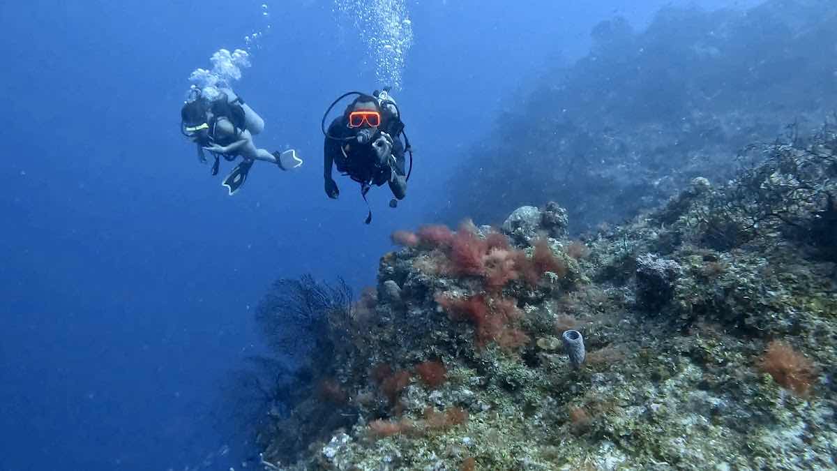 Dive For Fun Watersports photo 1
