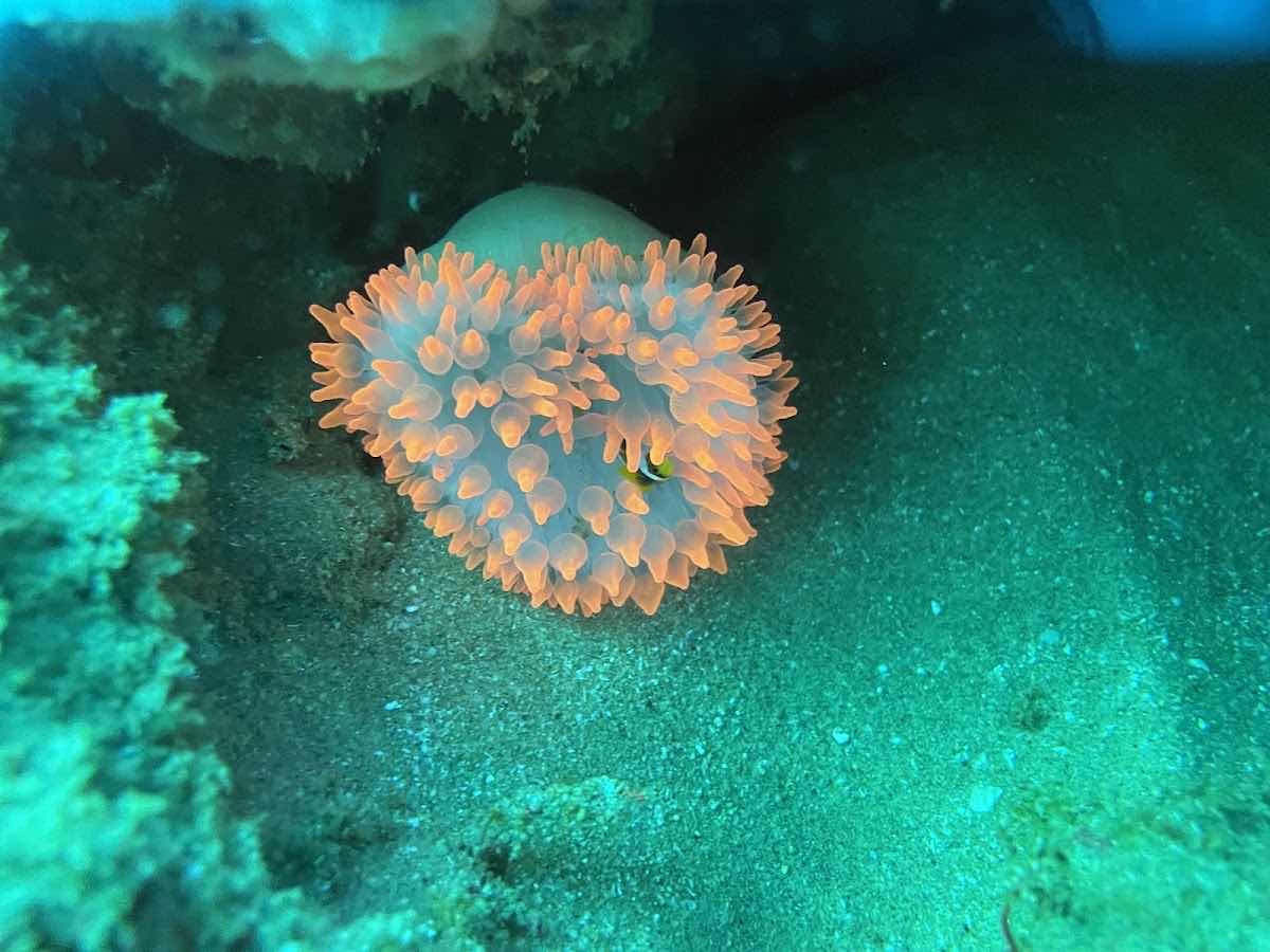 Sodwana Bay Lodge Scuba Centre photo 2